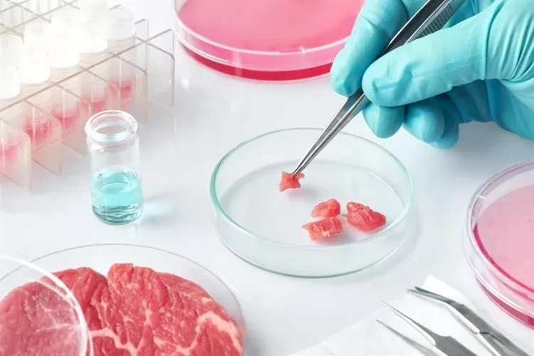 Food-trends-for-2024-Lab-grown-food