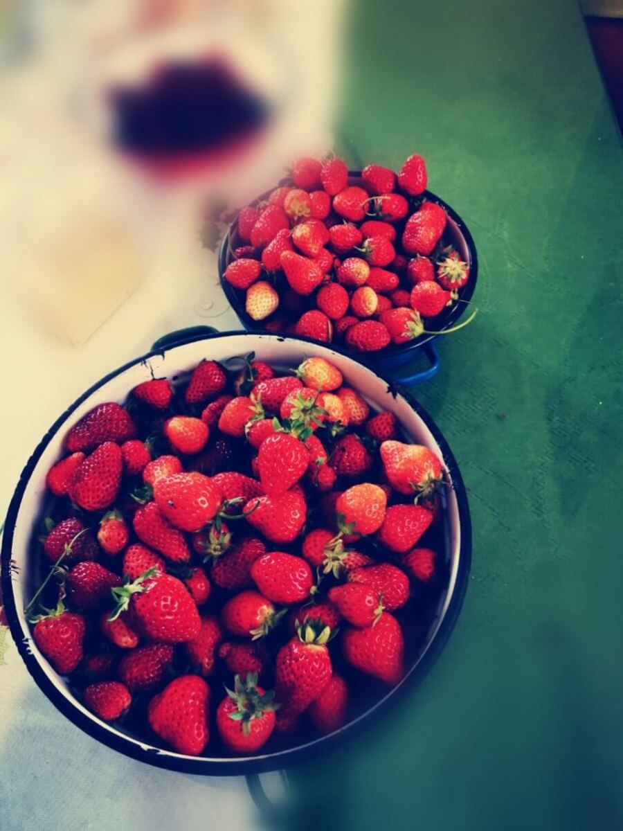 strawberries-grown-in-home-garden