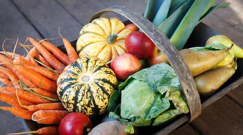 Harvesting-and-Enjoying-Your-Vegetables