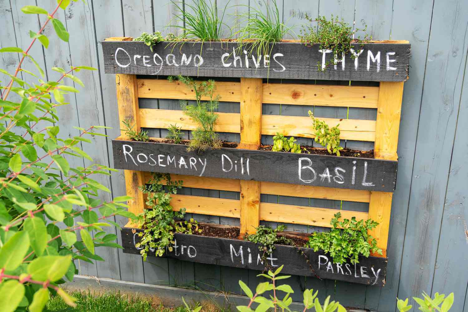 Innovative-Herb-Garden-Setups